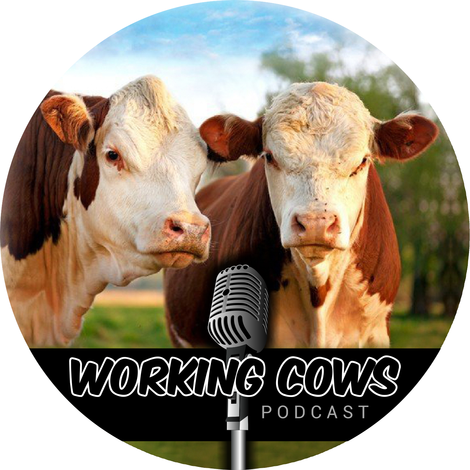 Sea-90 Featured on Working Cows Podcast Episode 282