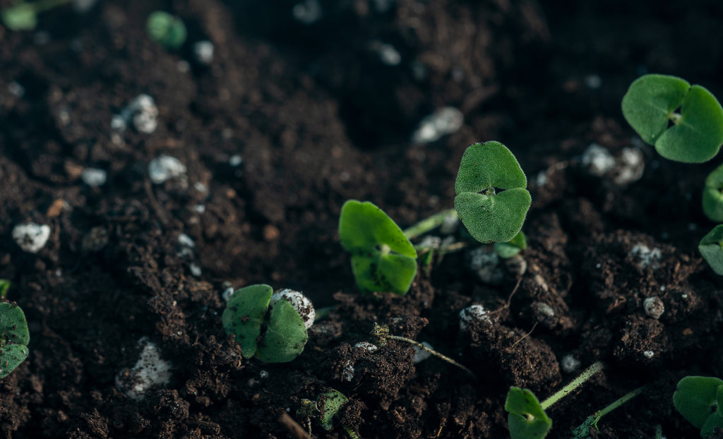 Build The Ultimate Soil