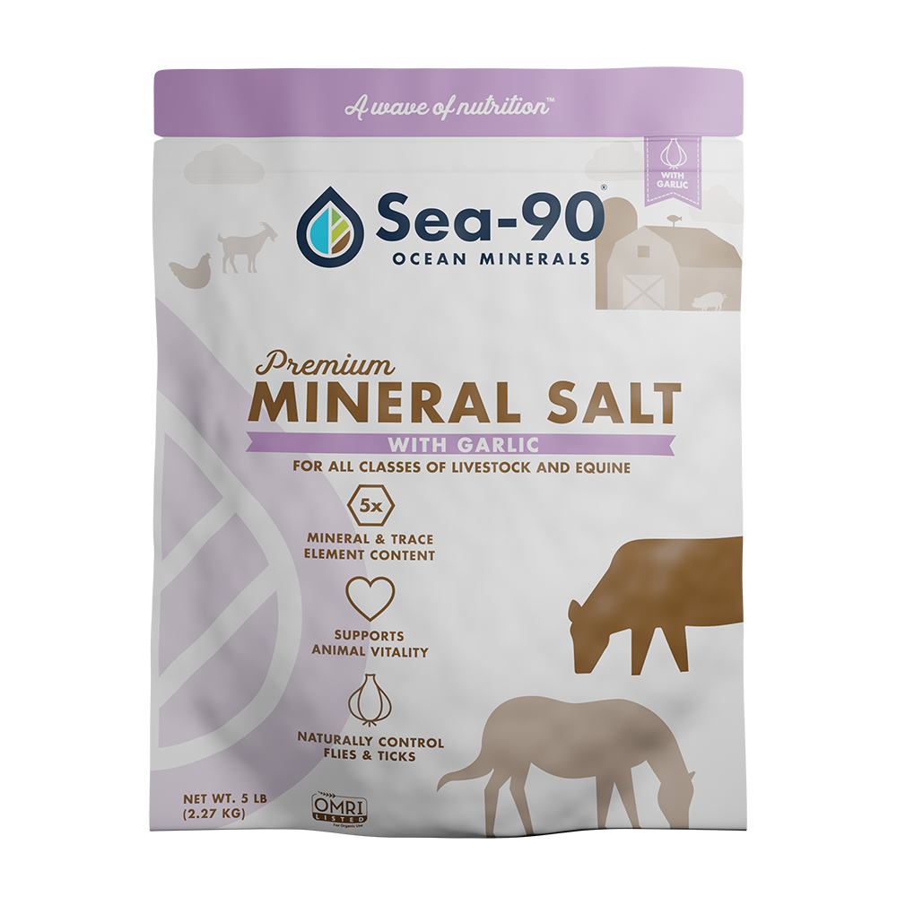 Sea90 Premium Mineral Salt with Garlic Sea90 Ocean Minerals